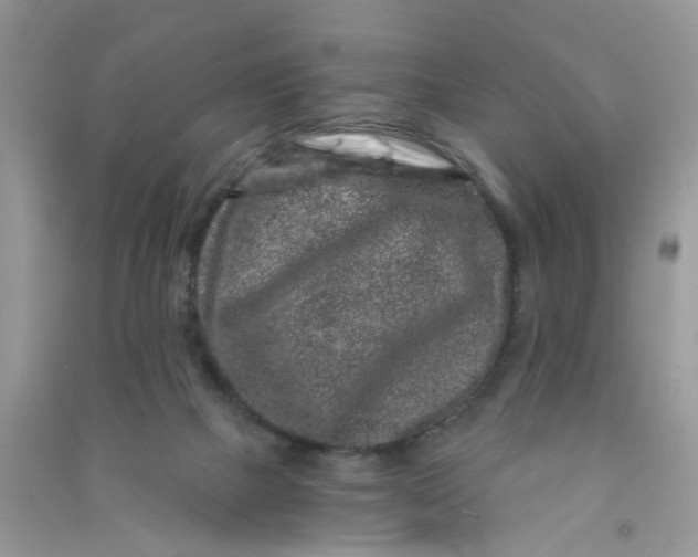 X0000090720073200708171935