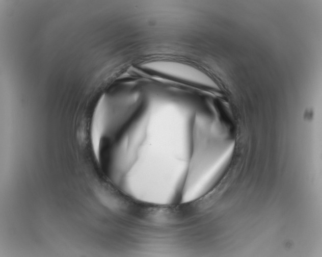 X0000090720074200708171935