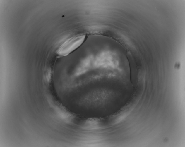 X0000090720076200708171935