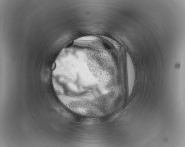 X0000090720077200708171935