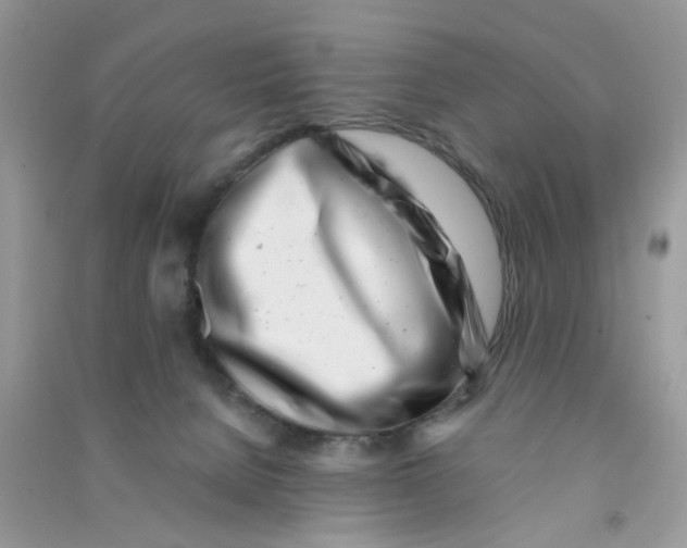 X0000090720080200708171935