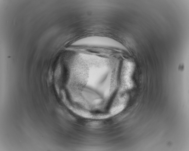 X0000090720081200708171935