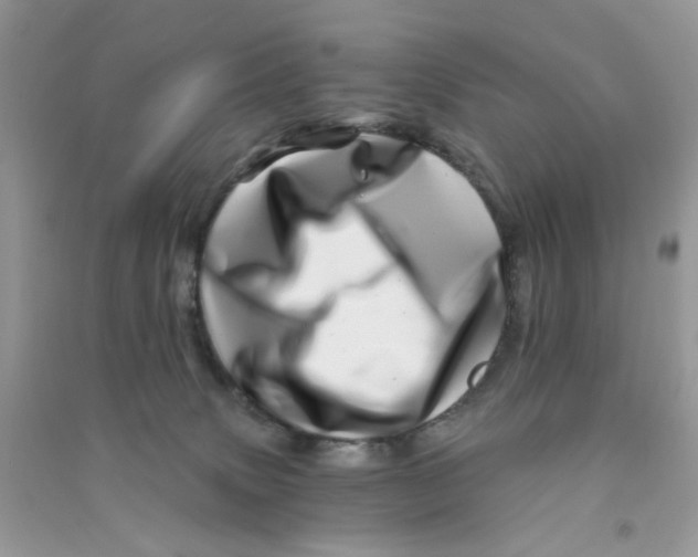 X0000090720083200708171935