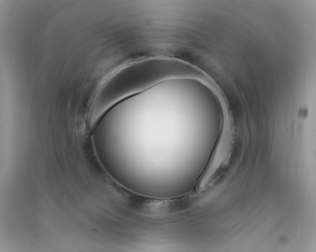 X0000090720084200708171935