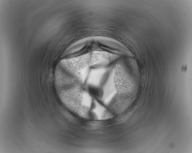 X0000090720085200708171935