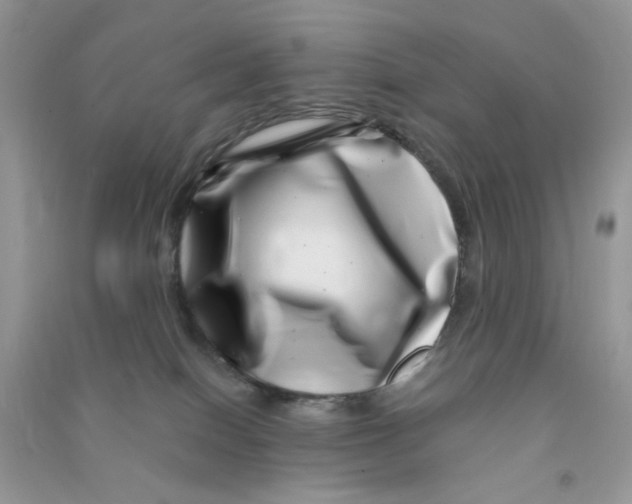 X0000090720086200708171935