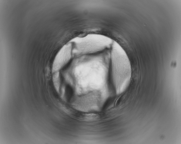 X0000090720087200708171935