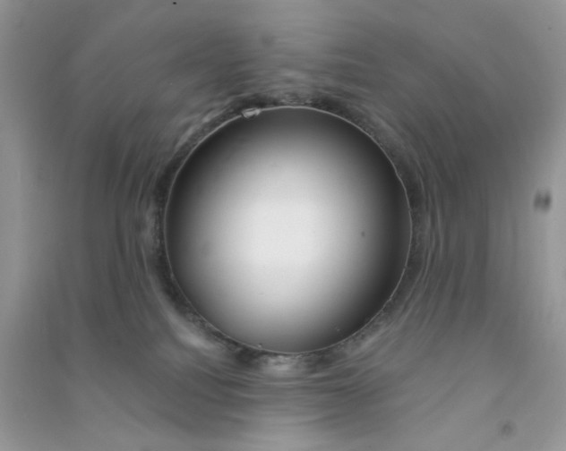 X0000090720088200708171935