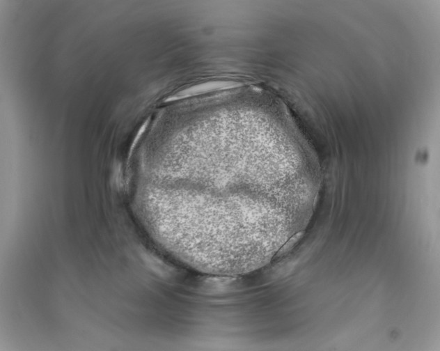 X0000090720089200708171935