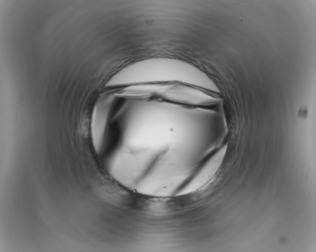 X0000090720090200708171935