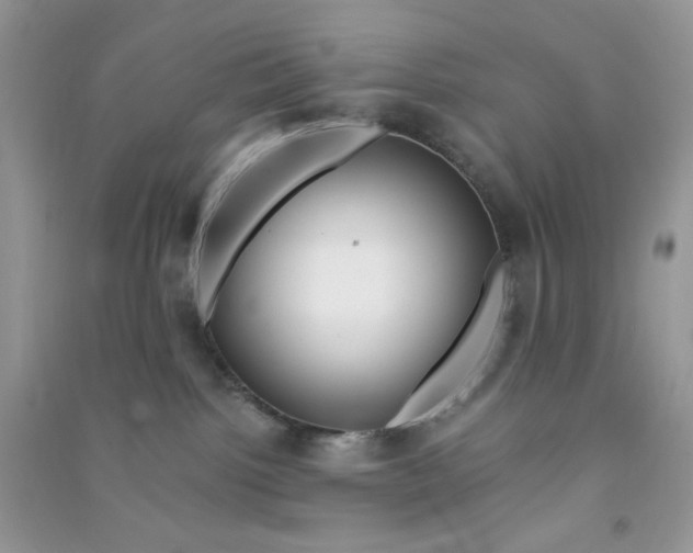 X0000090720092200708171935
