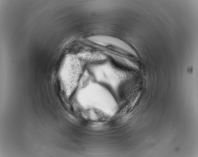 X0000090720093200708171935