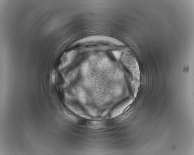 X0000090720095200708171935