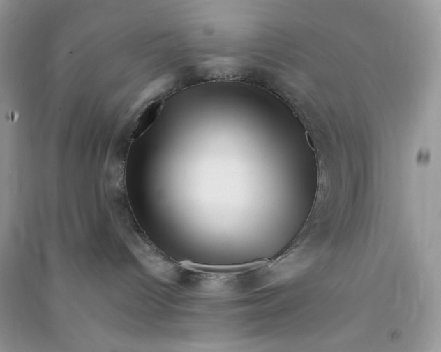 X0000090720096200708171935