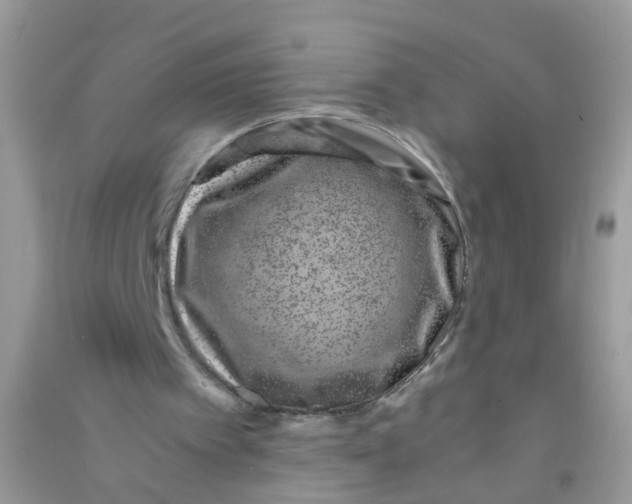 X0000090720097200708171935