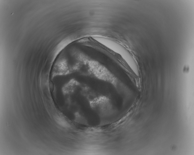 X0000090720099200708171935