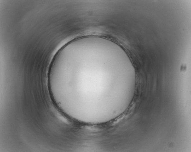 X0000090720100200708171935