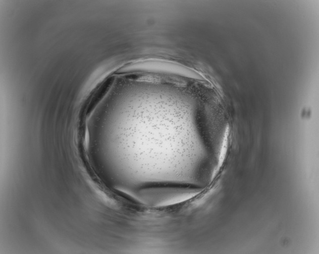 X0000090720101200708171935
