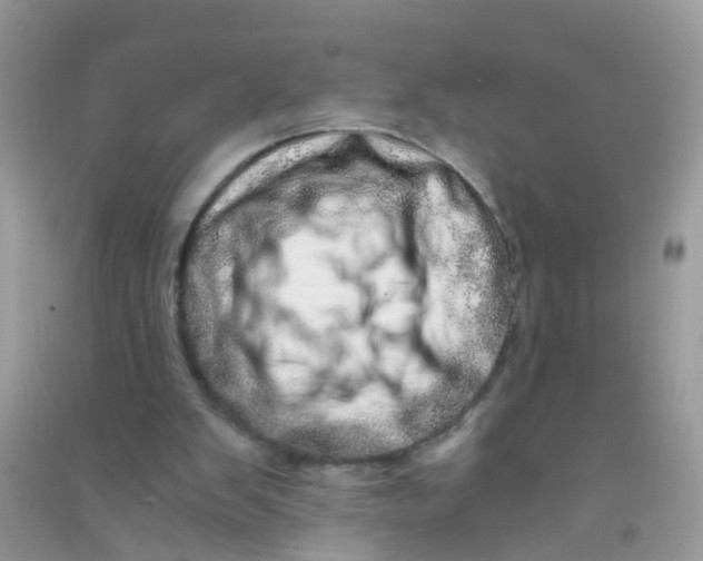 X0000090720103200708171935