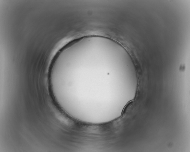 X0000090720104200708171935