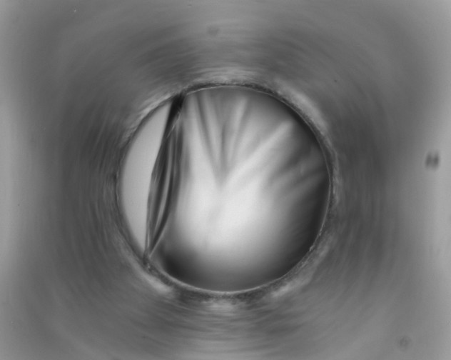 X0000090720105200708171935
