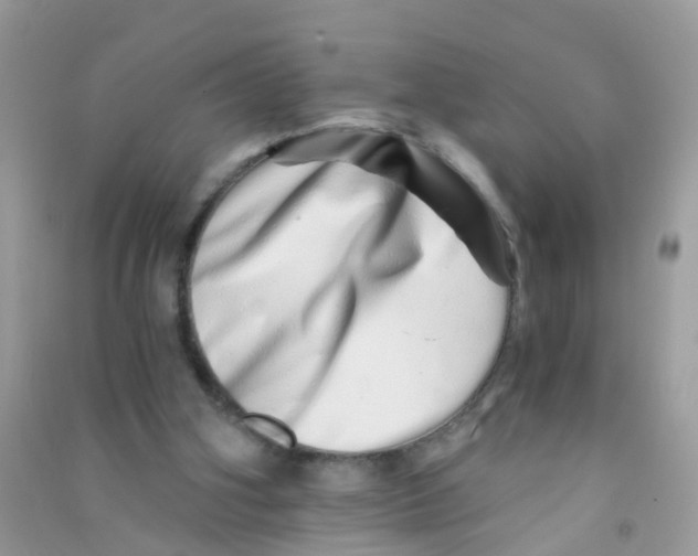 X0000090720106200708171935