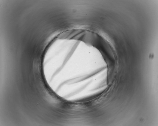 X0000090720107200708171935
