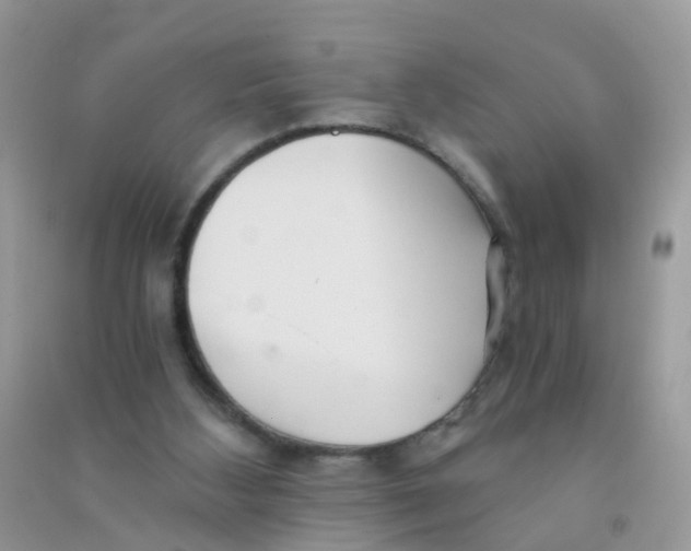 X0000090720108200708171935