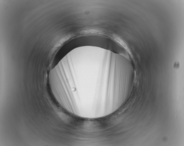 X0000090720109200708171935