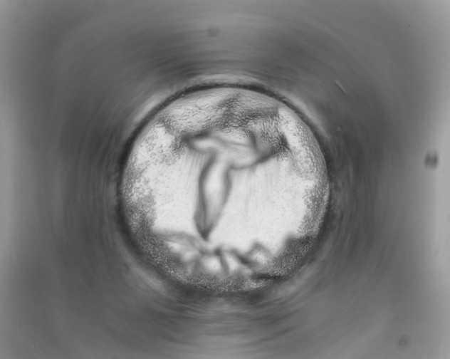 X0000090720111200708171934