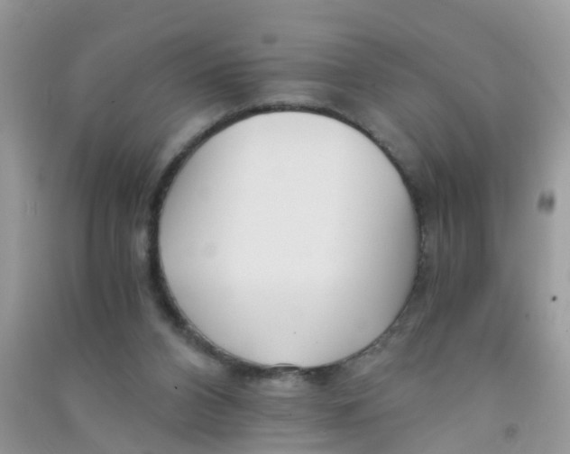 X0000090720112200708171934