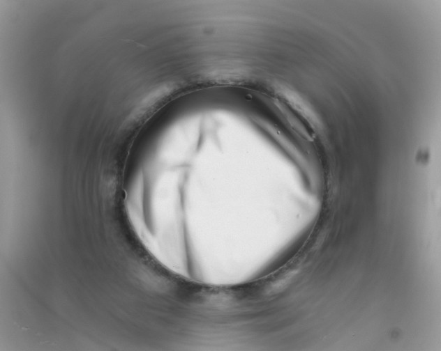 X0000090720113200708171934
