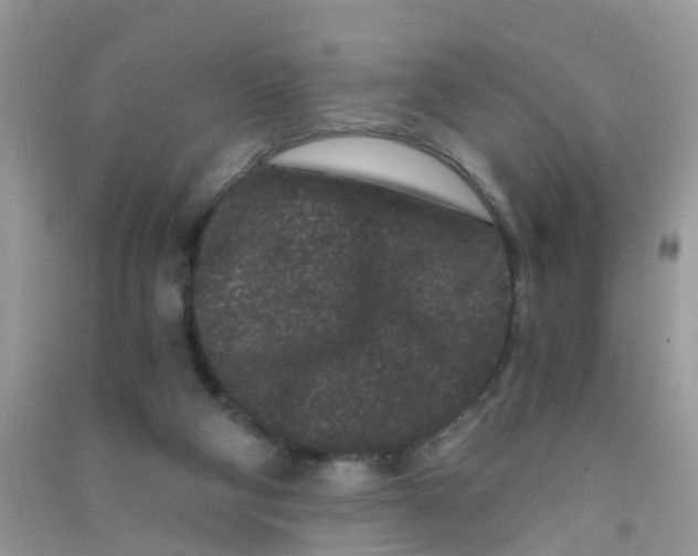 X0000090720114200708171934