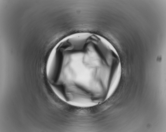 X0000090720115200708171934