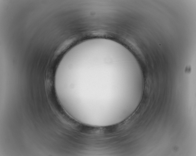 X0000090720116200708171934