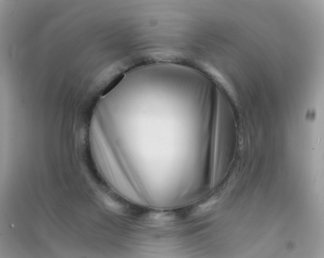 X0000090720117200708171934