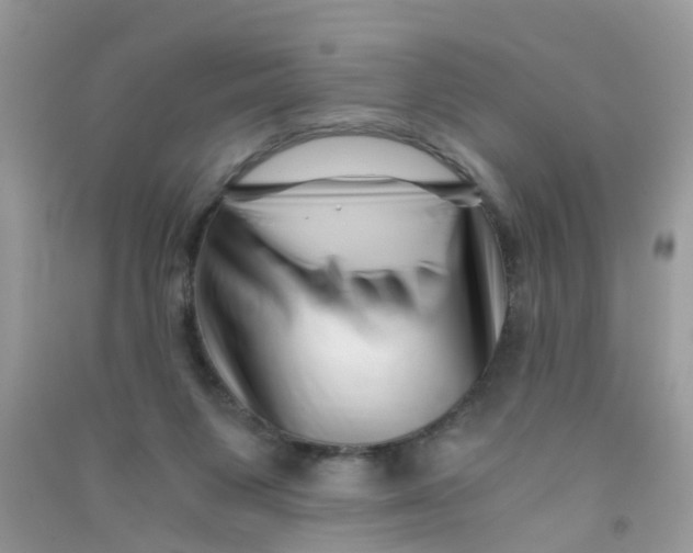 X0000090720119200708171934