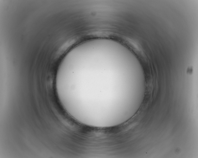 X0000090720120200708171934