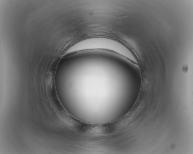 X0000090720121200708171934