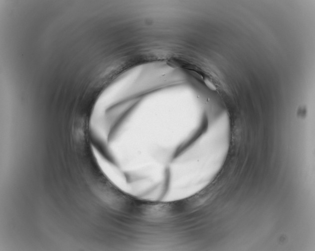 X0000090720122200708171934