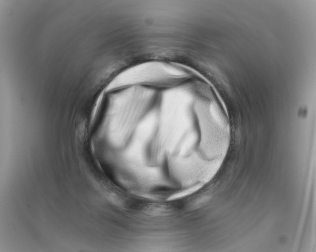 X0000090720123200708171934