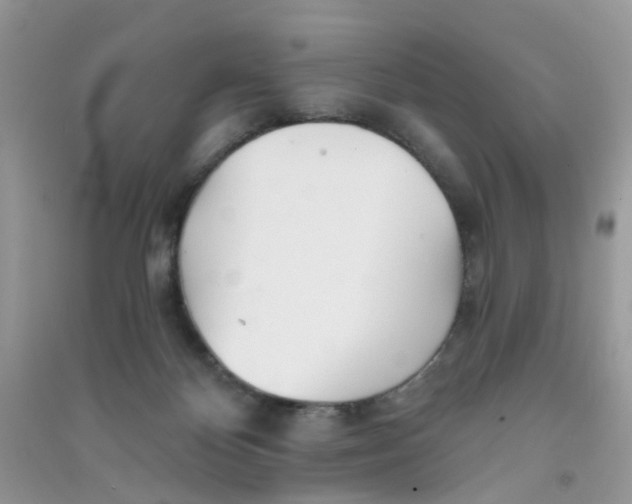 X0000090720124200708171934