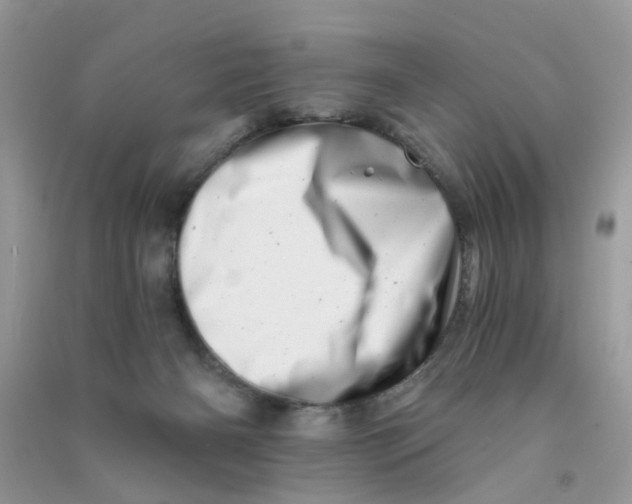 X0000090720126200708171934