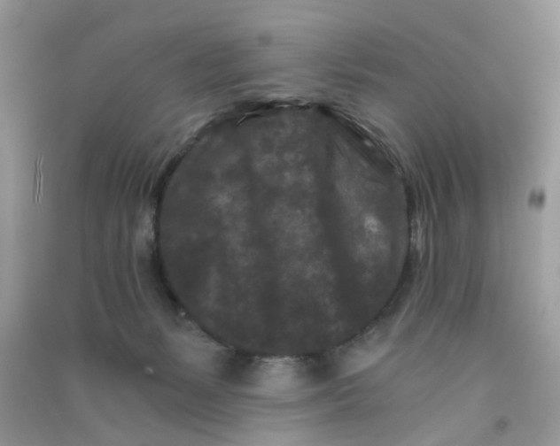 X0000090720127200708171934