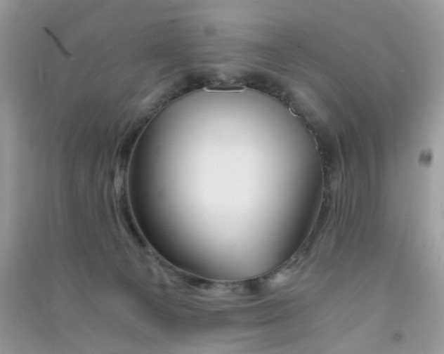 X0000090720129200708171934