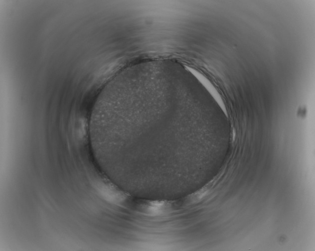 X0000090720130200708171934