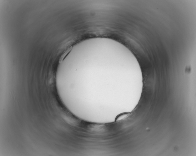 X0000090720132200708171934