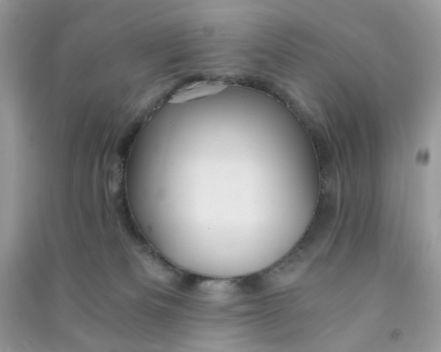 X0000090720133200708171934