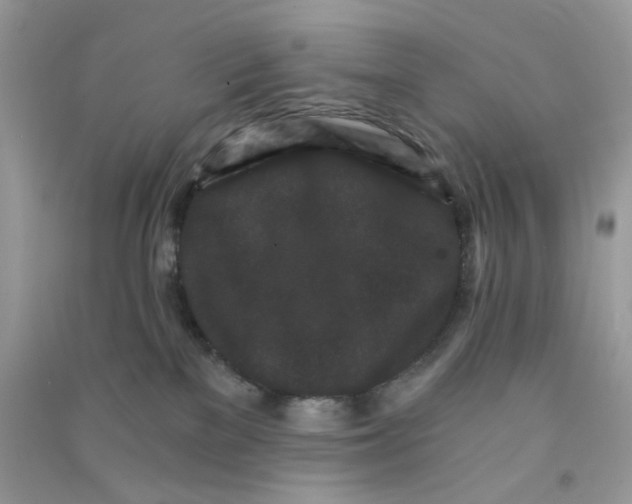 X0000090720137200708171934