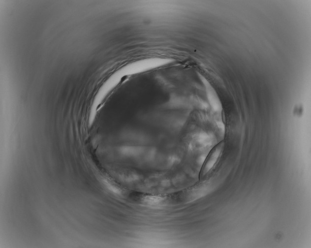 X0000090720139200708171934